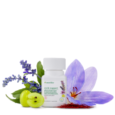 Cycle Support PMS Amway Nutrilite 30 капсул