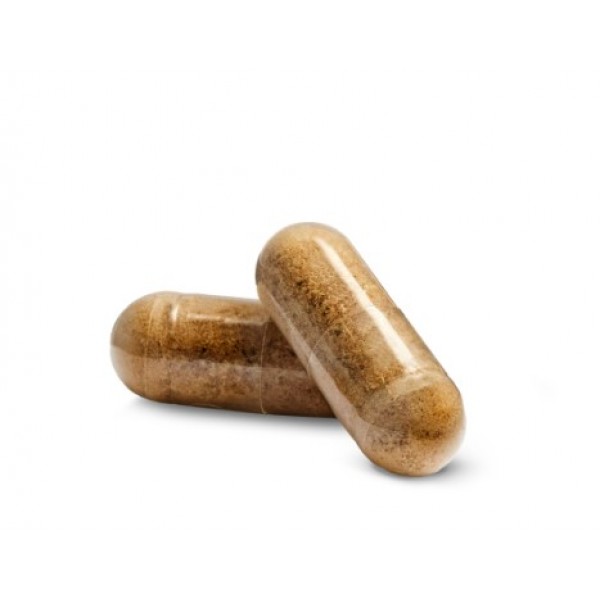 Cycle Support Nutrilite